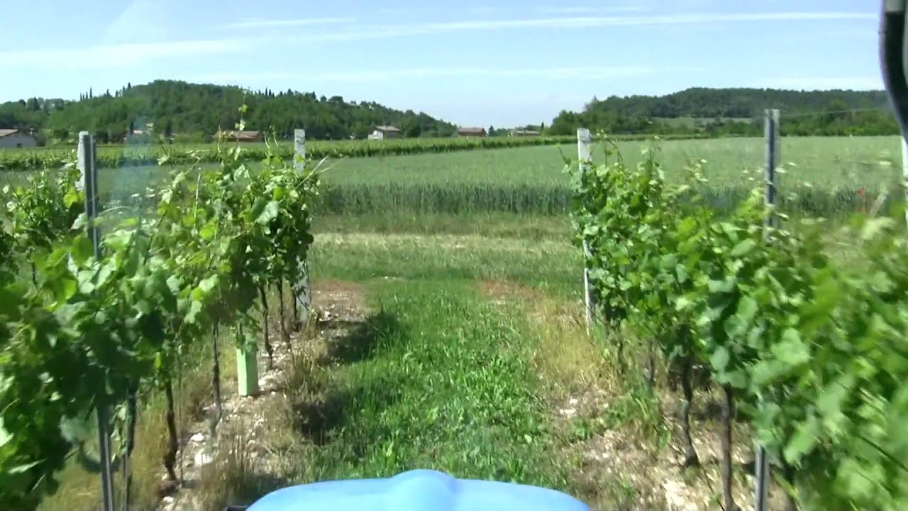 Trattamento fitosanitario all'azienda Gentili di Pesina (VR) con atomizzatore Caffini Synthesis