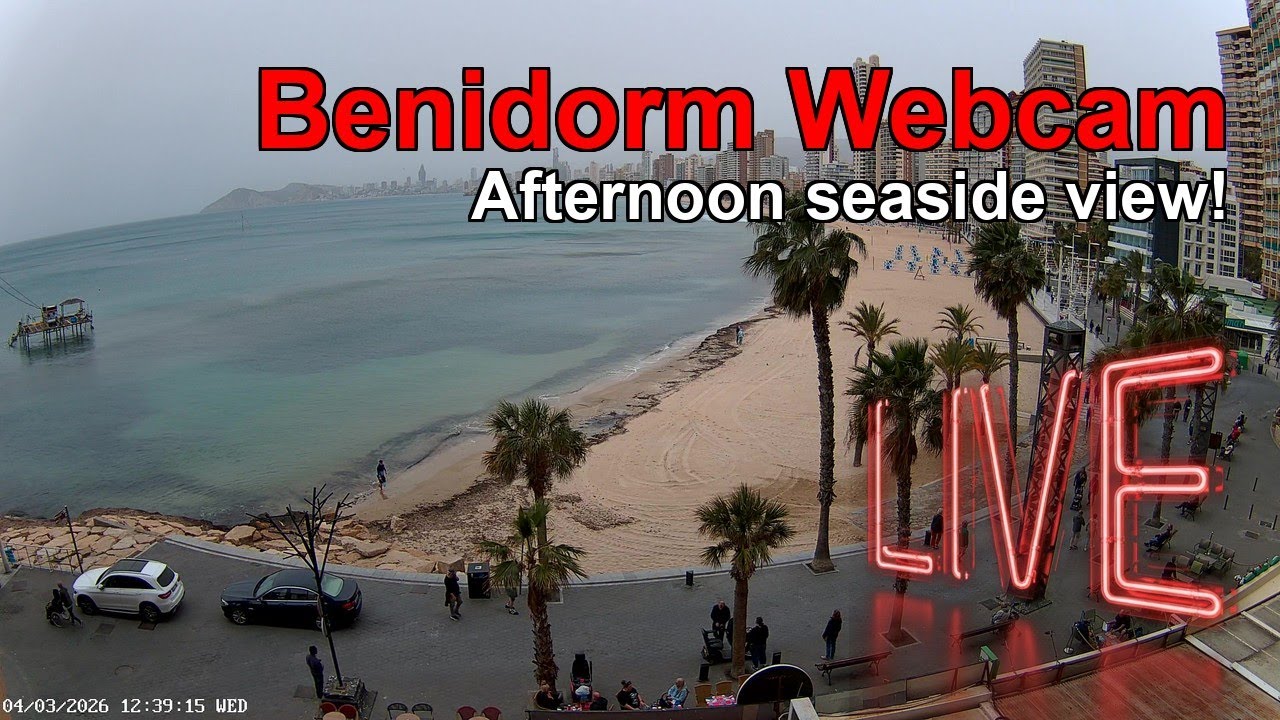 BENIDORM LIVE WEBCAM 🇪🇸 🔴 LIVE: Resort Beach NOW! 🌃 Palm Trees