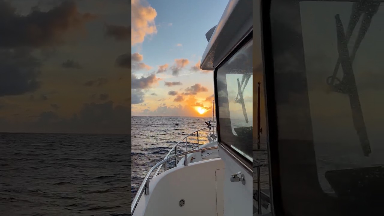 Day #8 Helm Update! (These are live from our passage two weeks ago..just for fun)