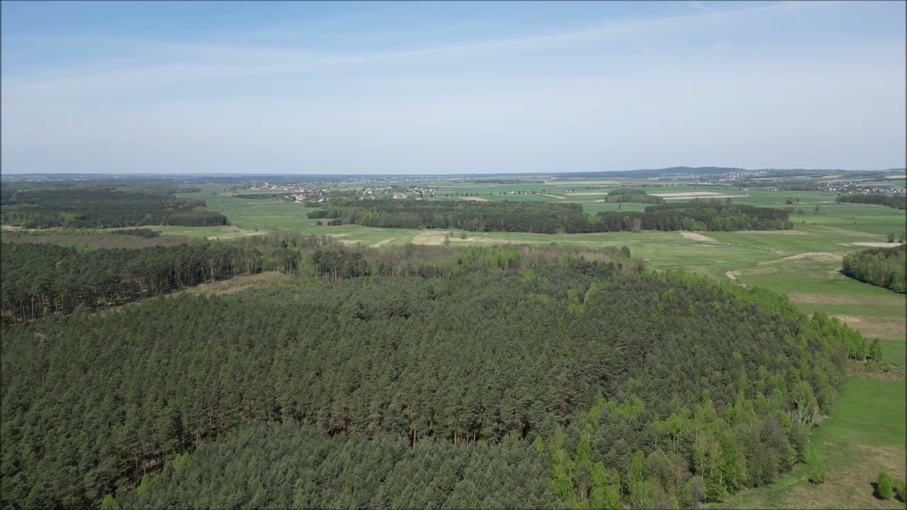 Dolina Białej Nidy  - 29 kwiecień 2025