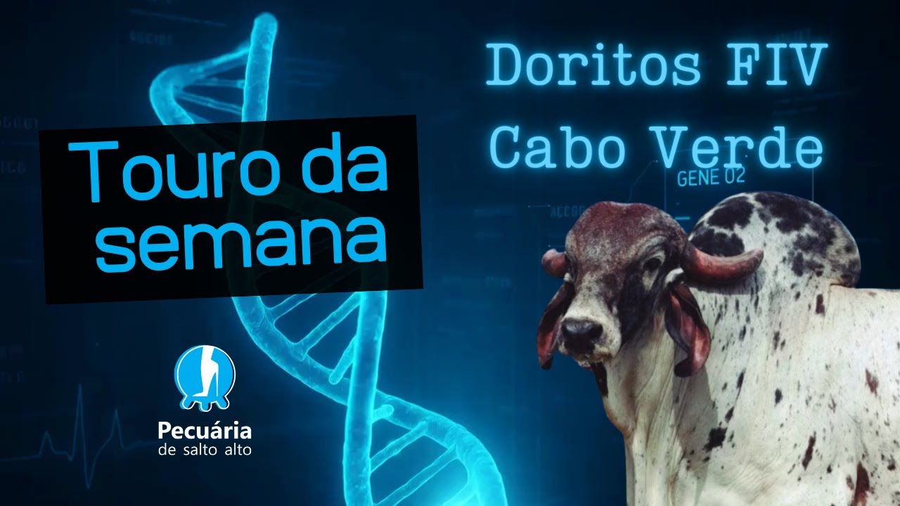 Touro da semana: Doritos FIV Cabo Verde