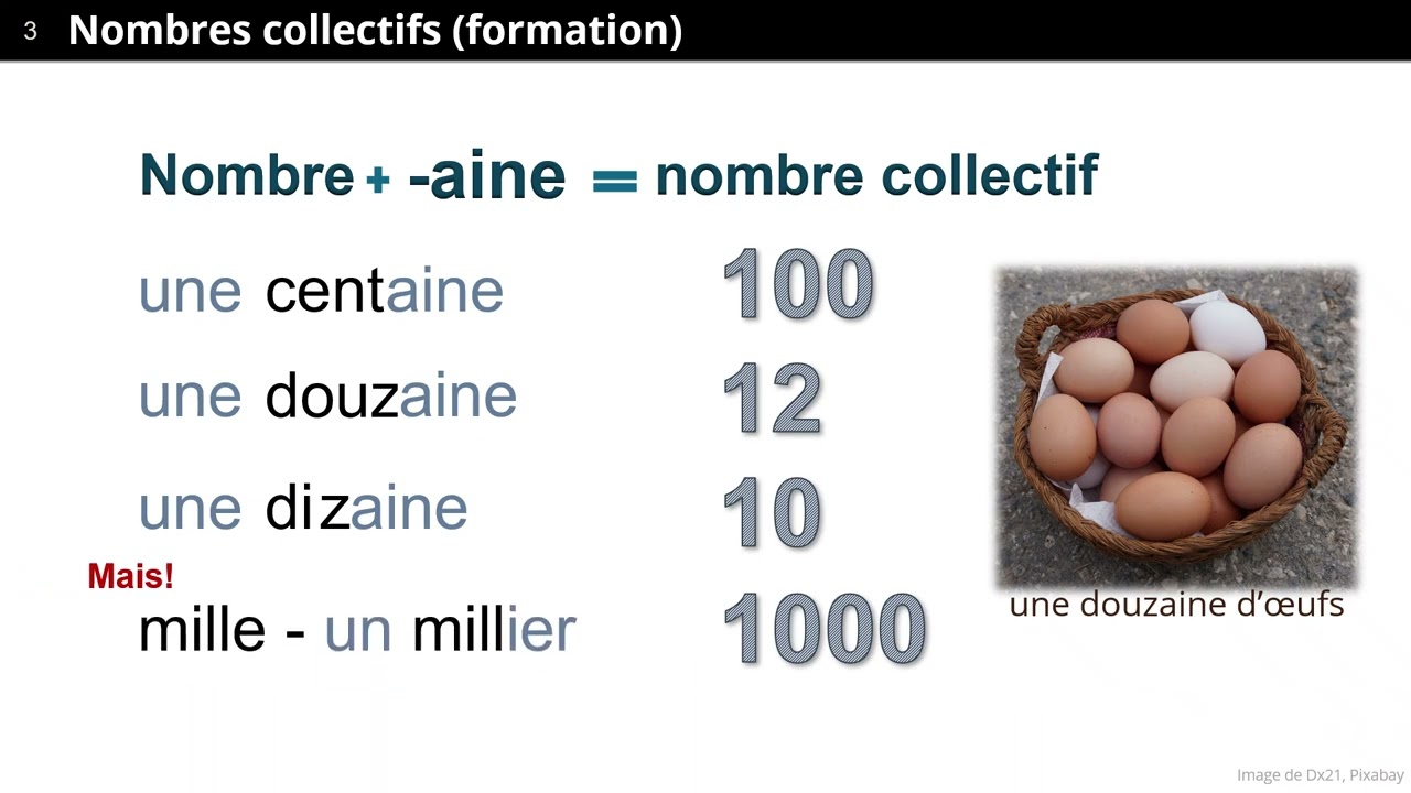 Les nombres collectifs et les fractions