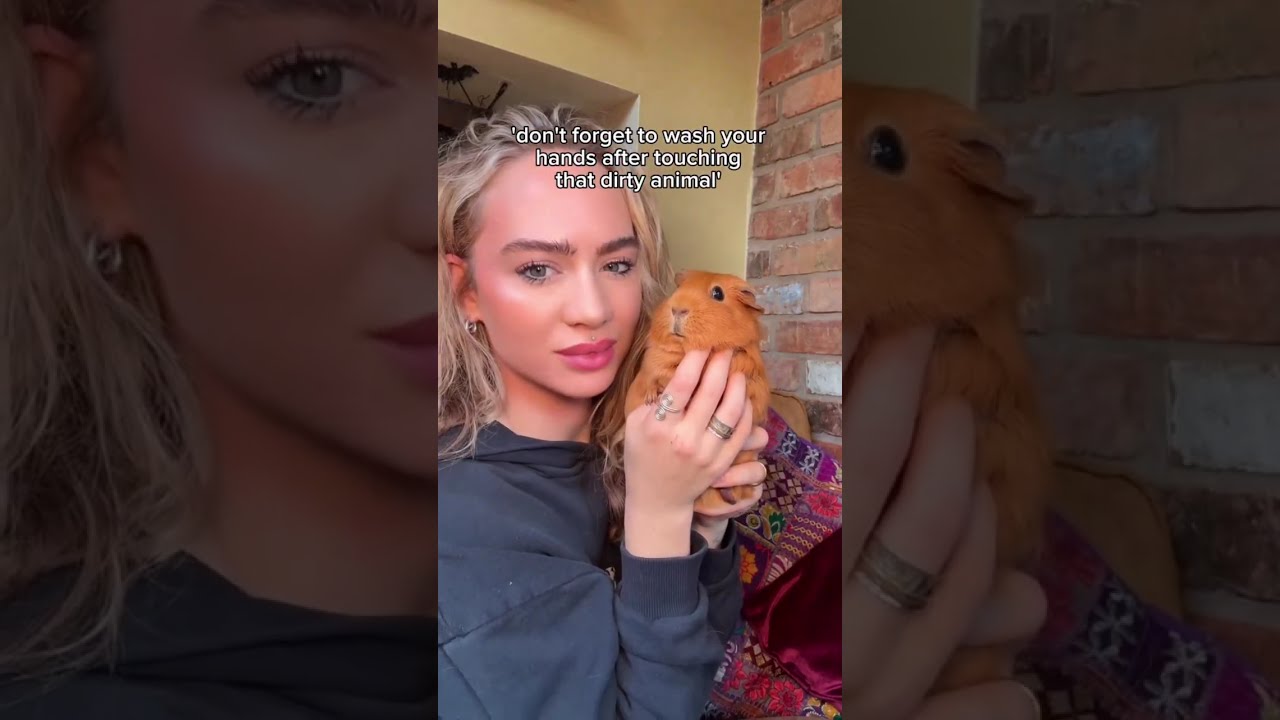 Yearly dose of animal videos 7/8