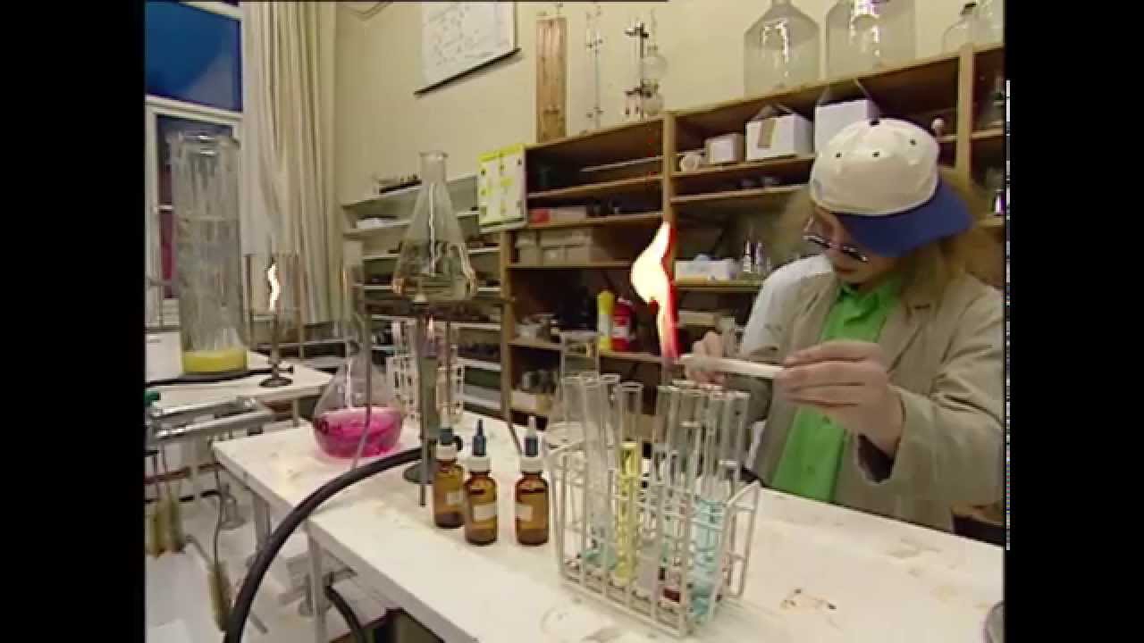 FILM: Sinterklaas en het raadsel van de rode pepernoot (2000)