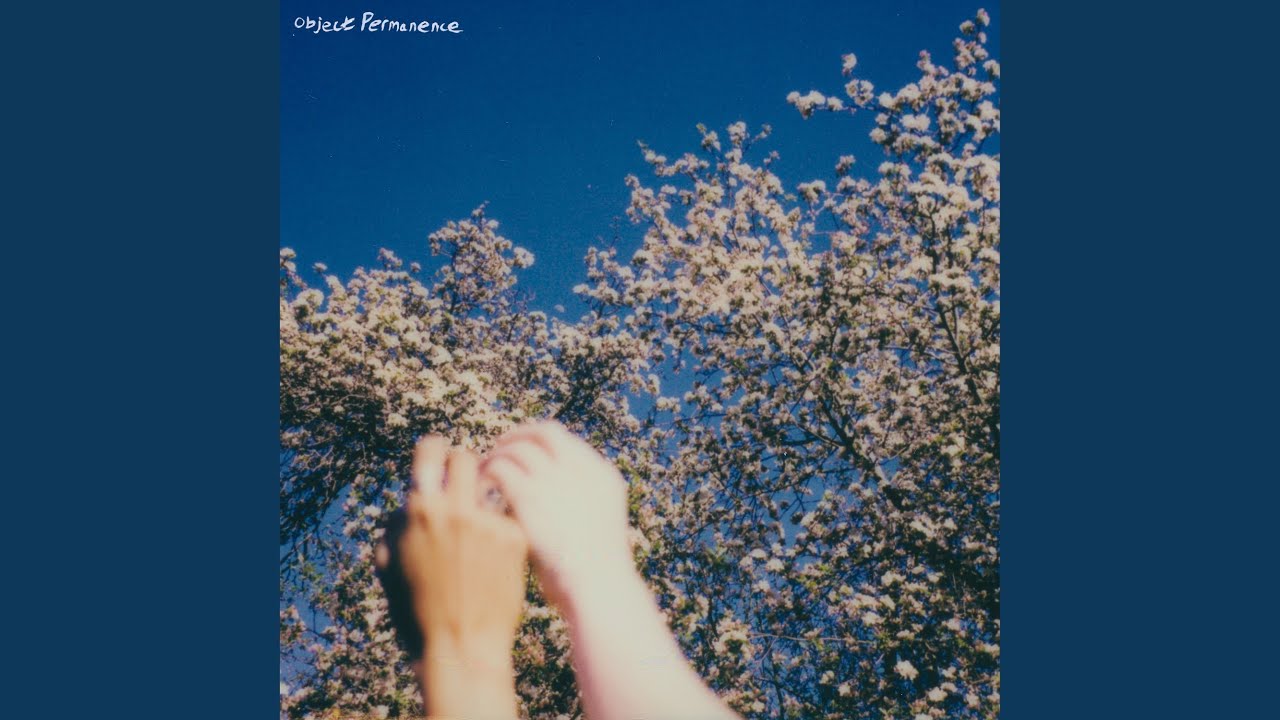Object Permanence