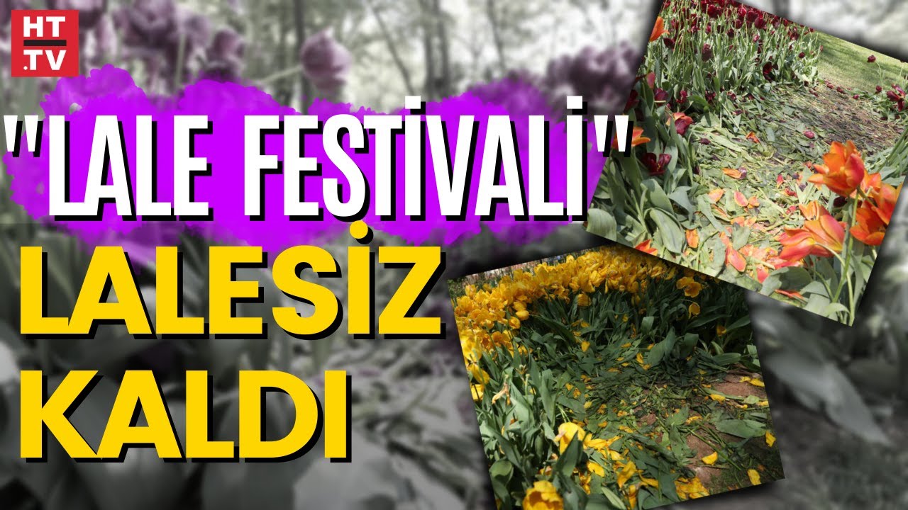 Gülhane Parkı'nda lale bayramı erken bitti