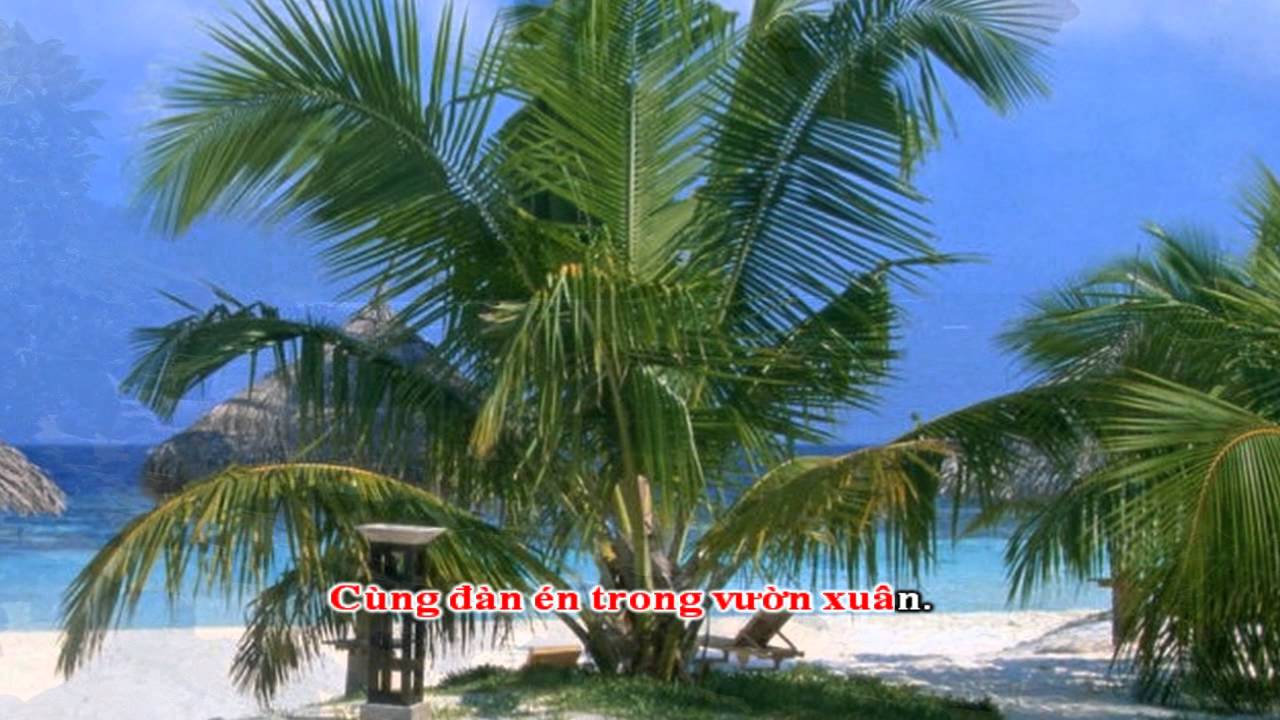NGƯỜI ĐẾN TỪ TRIỀU CHÂU  QUANG LINH  KTV