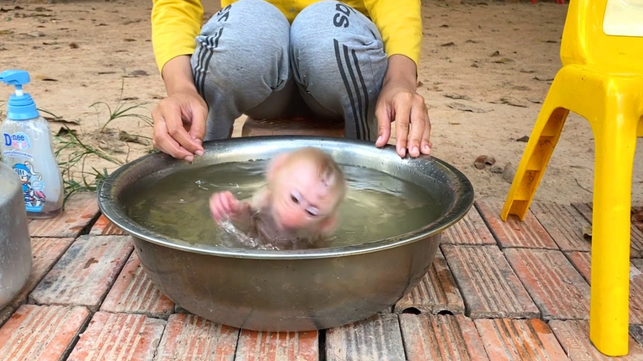 Jasmine Head Over A Round Refused Mom For Bath