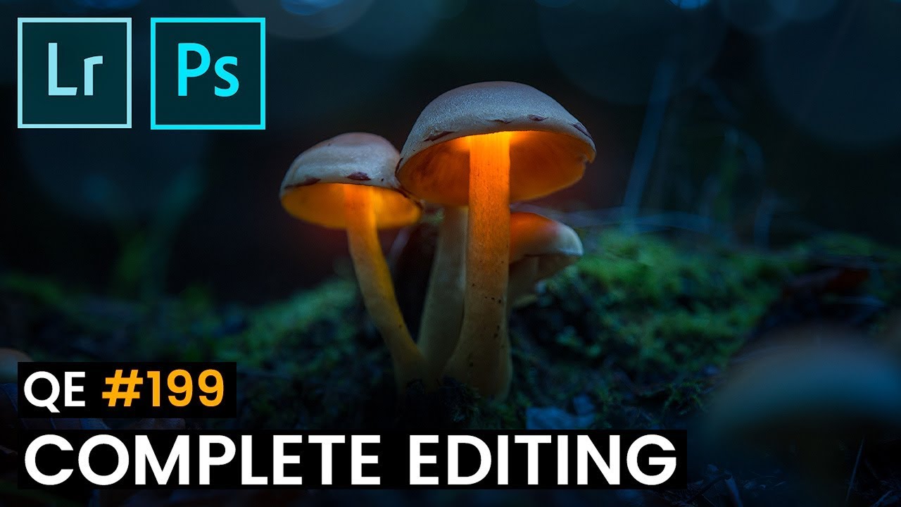 Fairytale Mushrooms Editing with Adobe Lightroom & Photoshop | QE #199