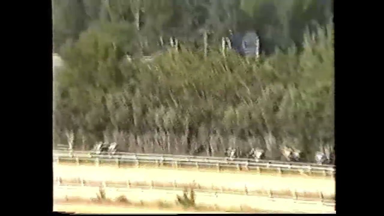 1992 (159) Premio ALFONSO Y FRANCISCO JAVIER PÁRAMO (Hp desd. 1ª p.) NISSHOKU (GB) (1989) cuadra Lui