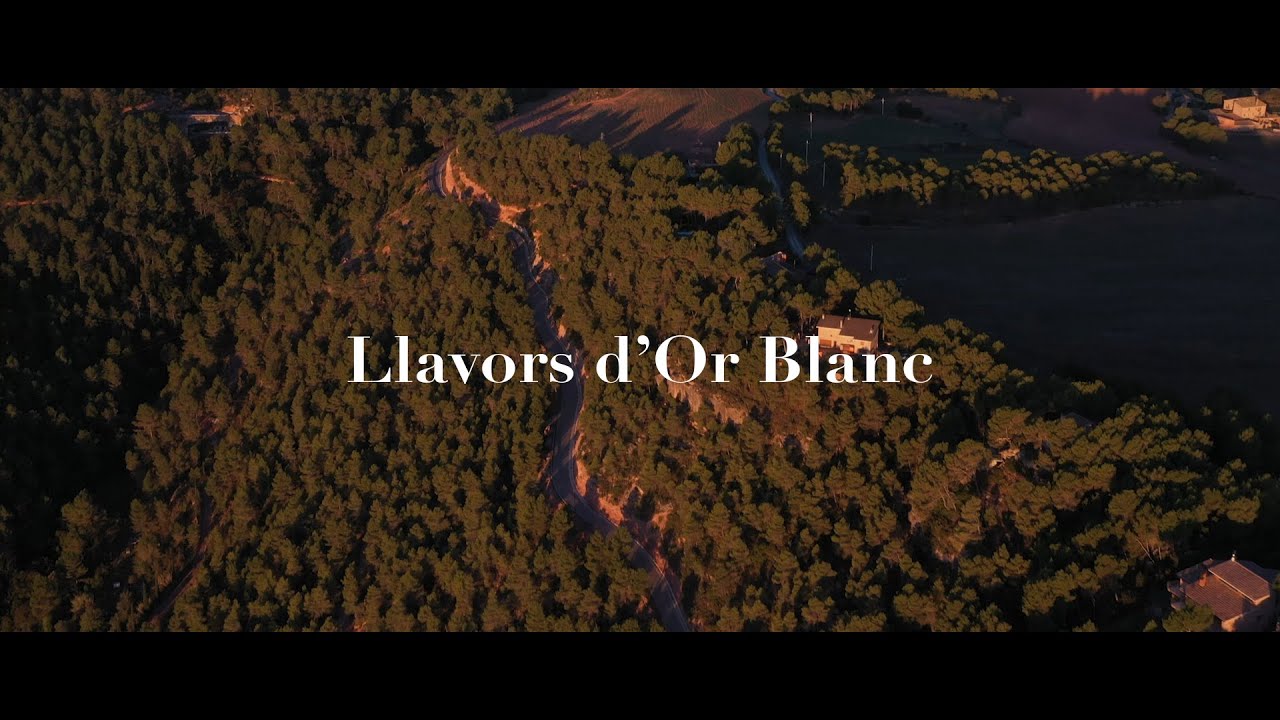 Llavors d'or blanc | La mongeta de Castellfollit del Boix