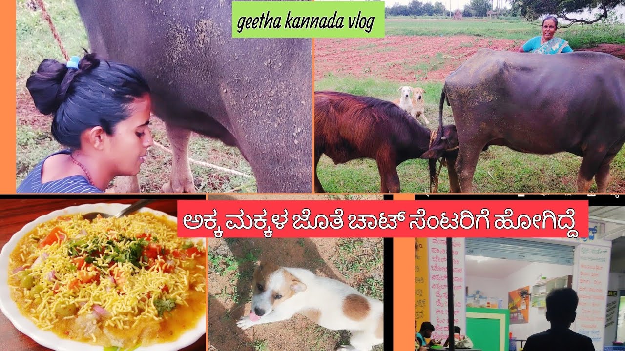 ಮನೆ ಕೆಲಸ ಮತ್ತೆ ಅಕ್ಕನ ಮಕ್ಕಳ ಜೊತೆ ಚಾಟ್ ಸೆಂಟರಿಗೆ ಹೋಗಿದ್ದೆ🤤🌮/visiting Bangarpet chats center /kannada