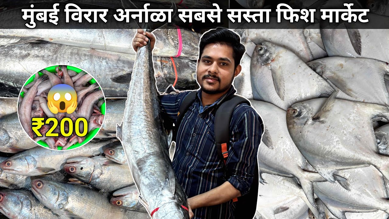 Virar Arnala Fish Market | Arnala Fish Market | Virar Fish Market | Wholesale Fish Market In Mumbai