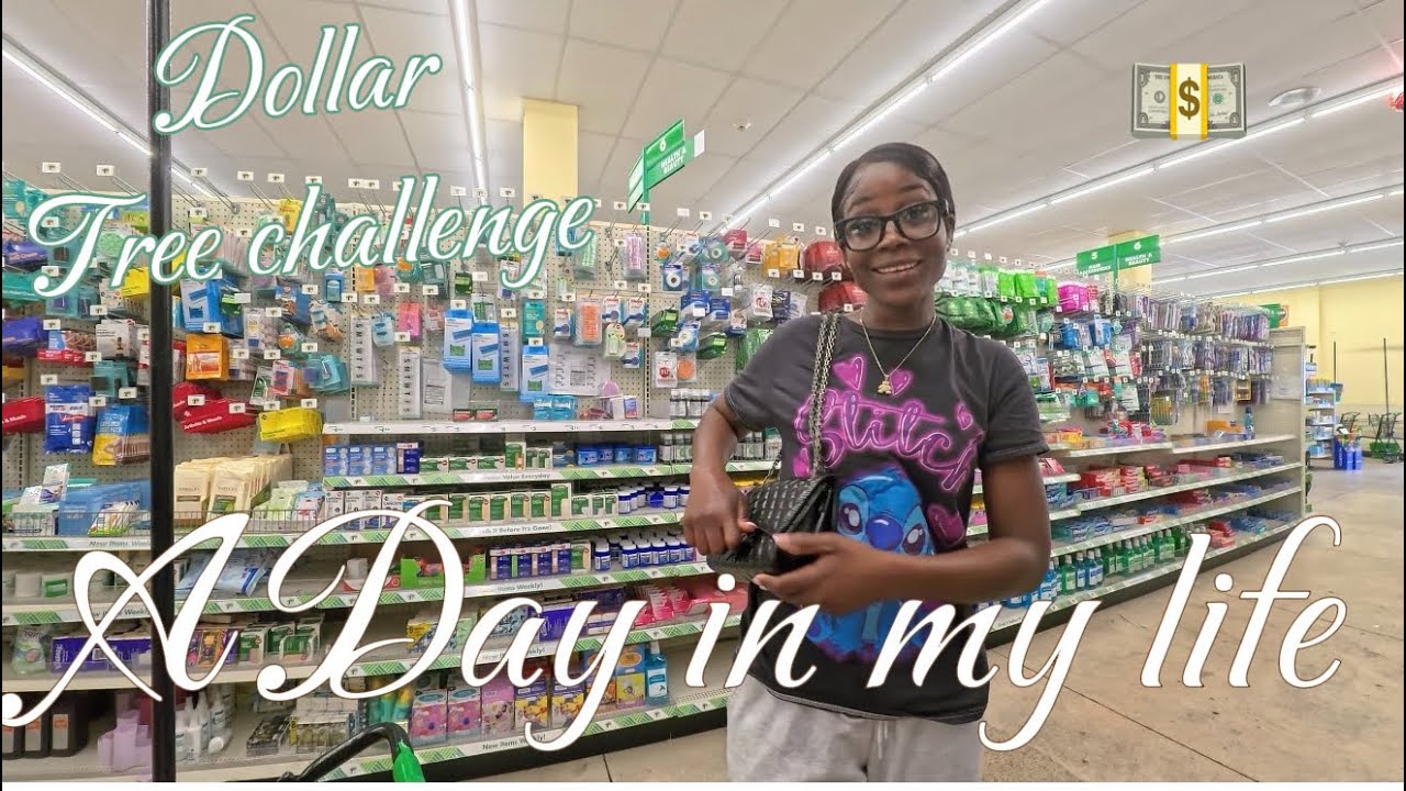 A Day In My Life: I Tried the 40 Dollar Tree Budget Challenge!”