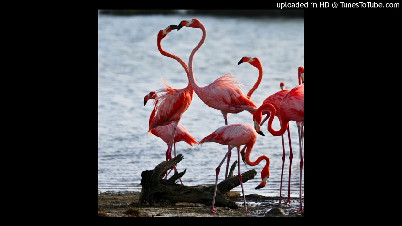 Veeze x Babyface Ray Type Beat (Flamingo) @401kBeatz