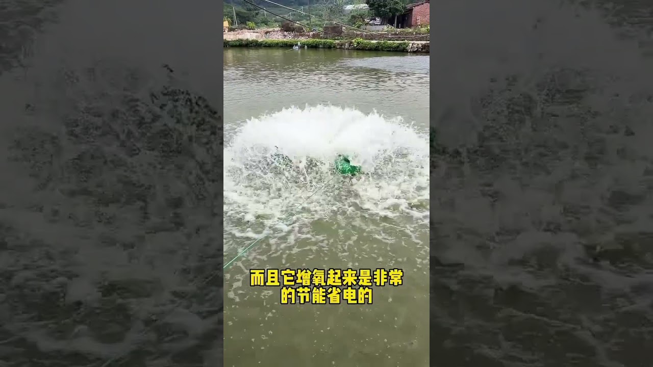 #Green