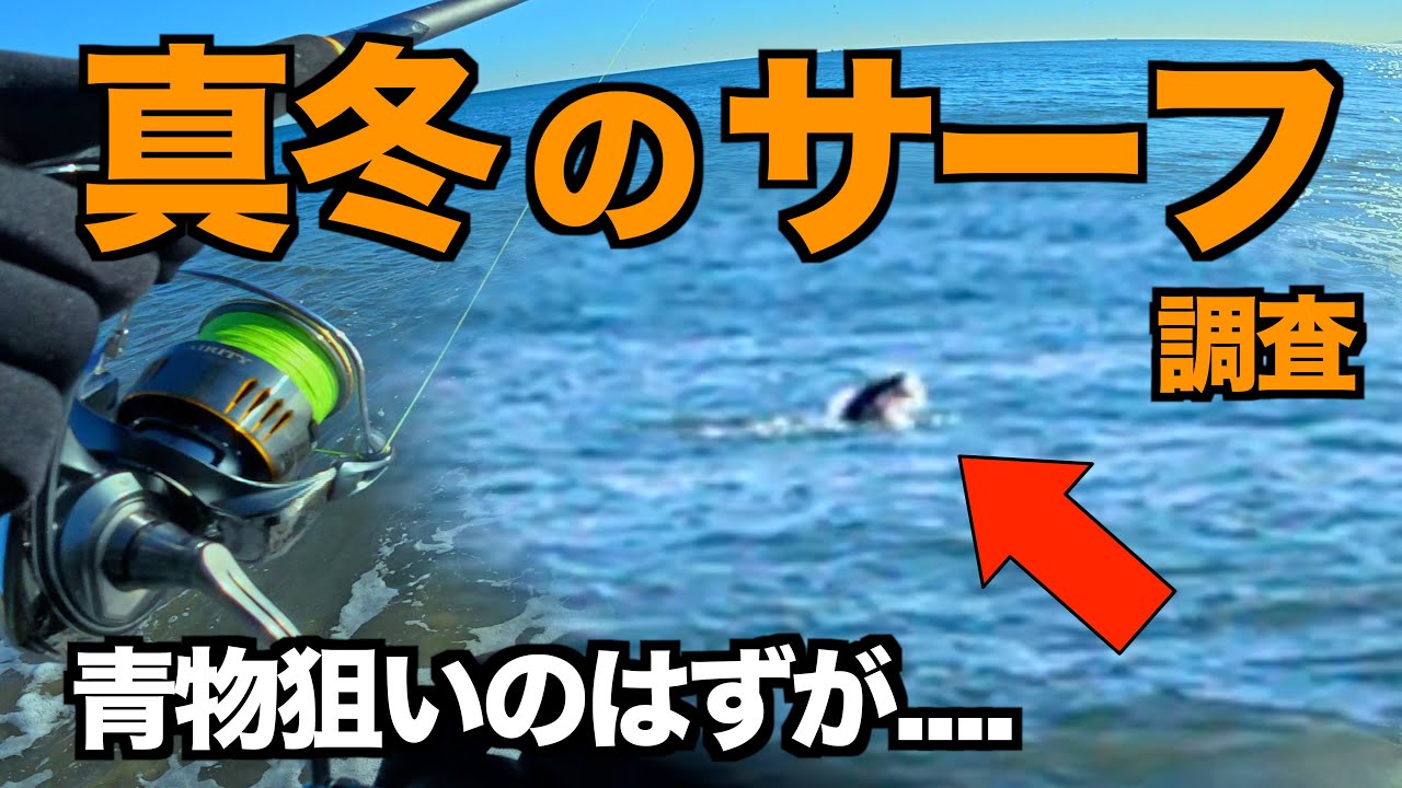 【真冬のサーフ調査】青物狙いのはずがまさかの展開に....。