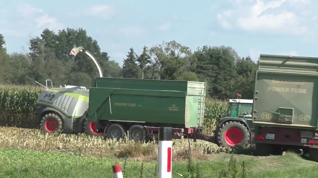 Maishäckseln 2019 mit Class Jaguar 970 und Claas ORBIS 750  mit Fendt Traktoren und von zwei  Lohnun