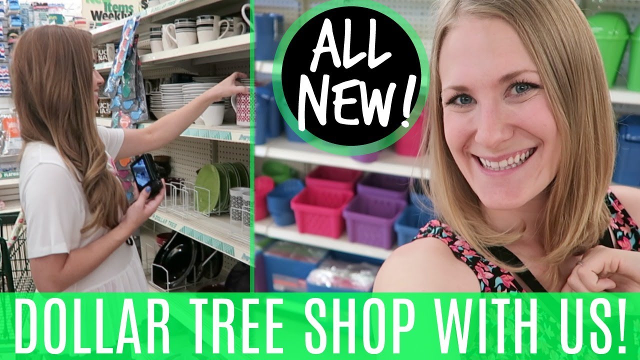 HUGE DOLLAR TREE SHOPPING VLOG! 💚 Organization, NEW Finds, Tips & More! (with LoveMeg💕)
