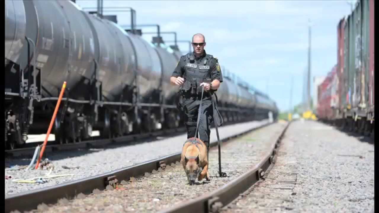 Police Service Dog Judge Retiring after 10 years of Service