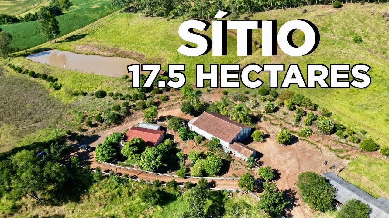 SÍTIO À VENDA EM SANTA CATARINA 17,5 HECTARES CASA FRUTAS LAVOURA PASTO GALPÃO E ÁGUA R$1.1mi