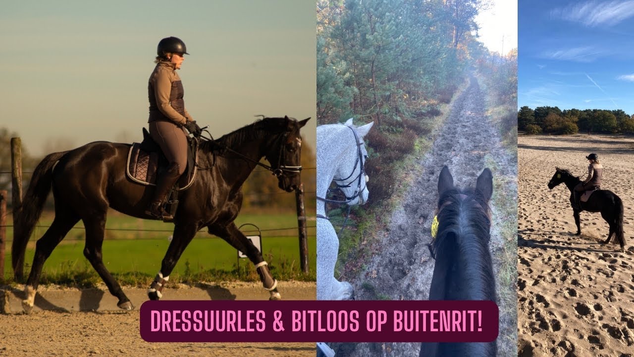 Hard werken tijdens DRESSUUR les & BITLOOS op buitenrit?! - Life as Esm&eacute;