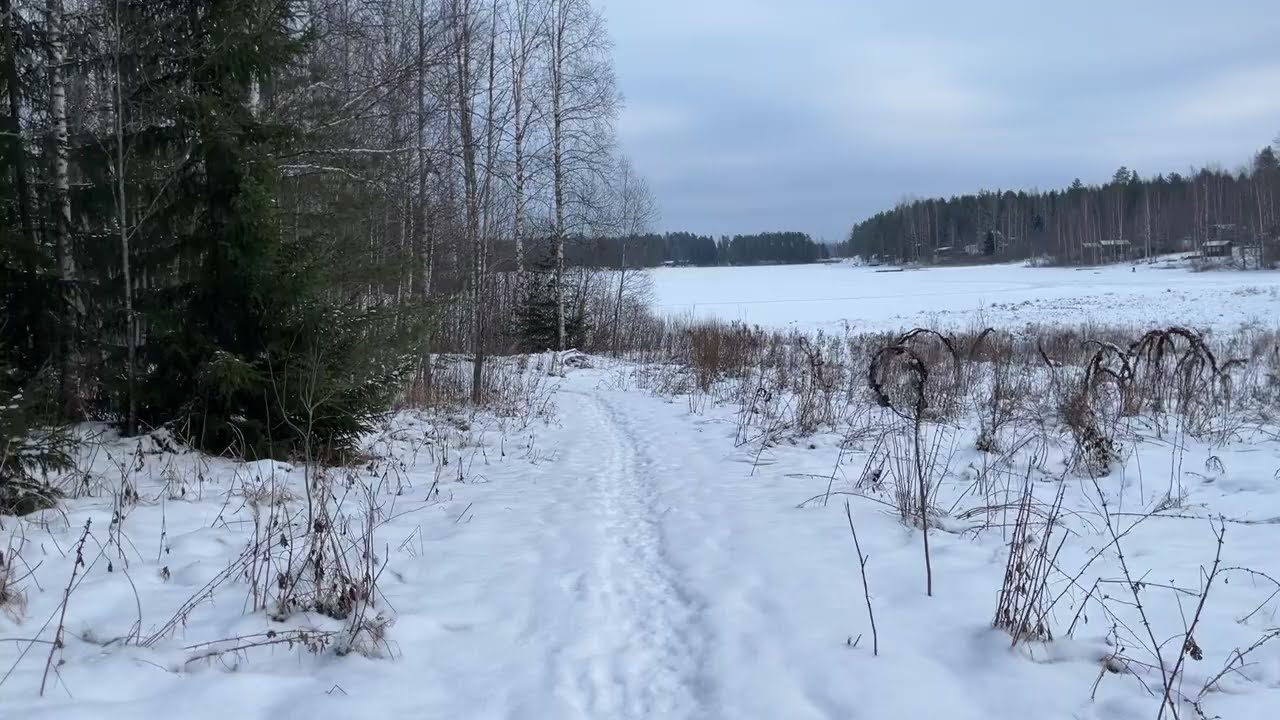 Walking SUNDAY 25.1.26 no talking, just walking @slowTVFinland 