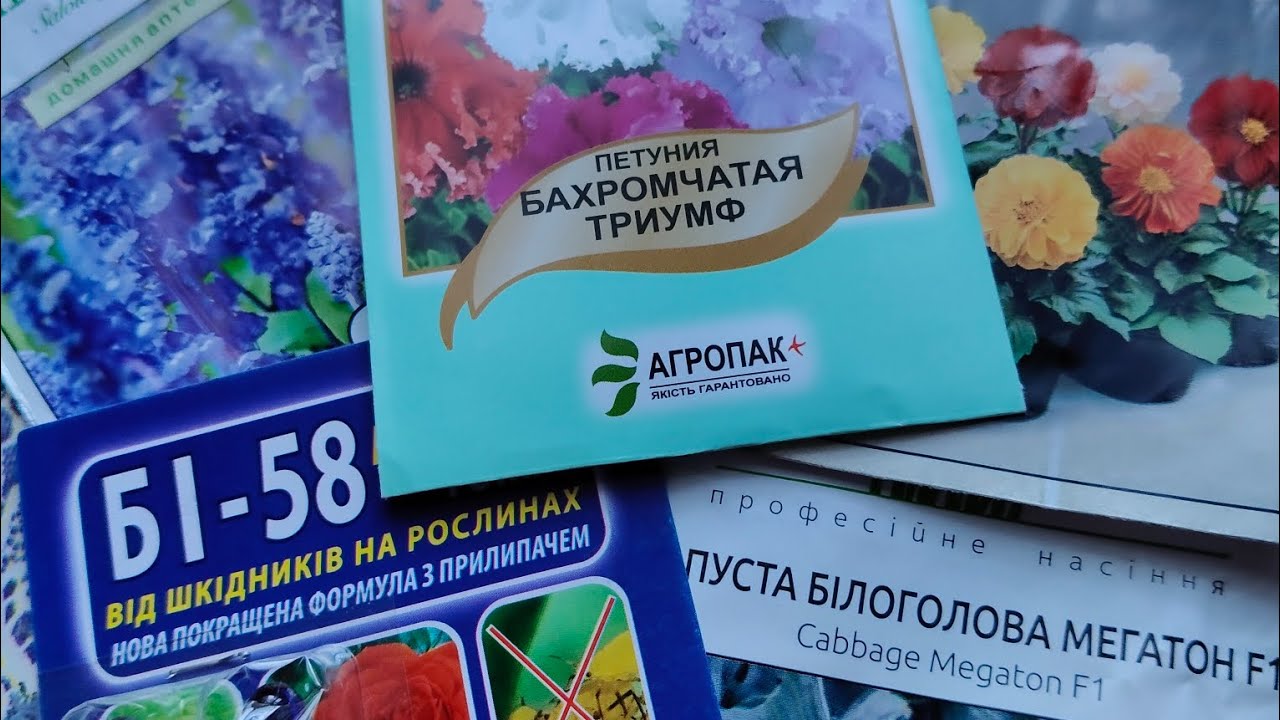 Продовження серіалу 