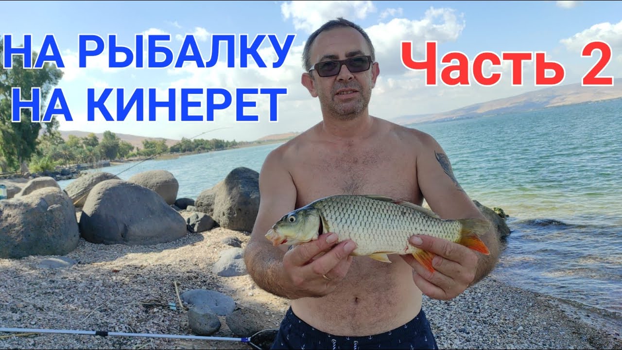 НА РЫБАЛКУ НА КИНЕРЕТ 2 ЧАСТЬ