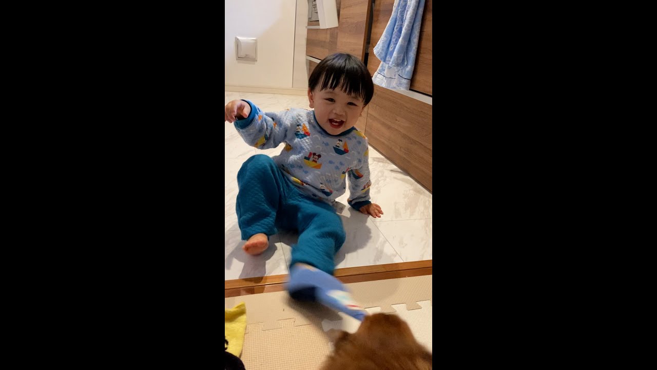 犬に靴下を取られる遊び【1歳11ヶ月】/Funny Baby Playing with Dog