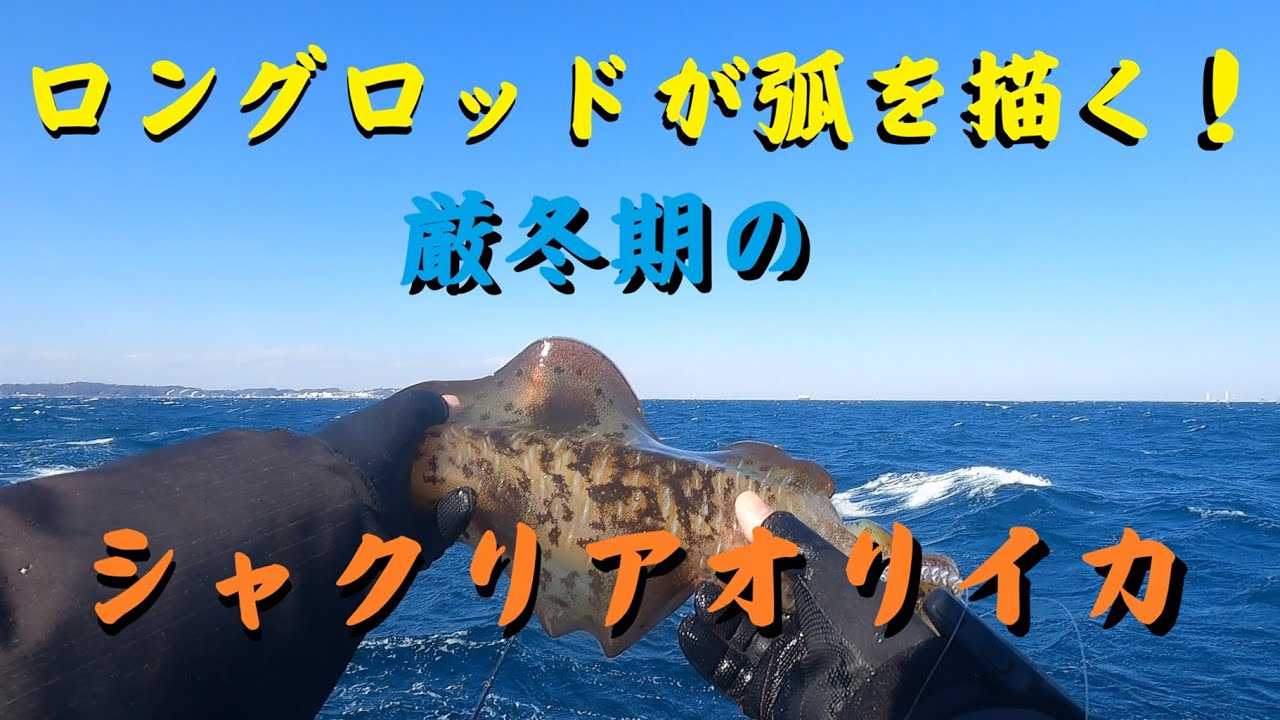 ロングロッドしなる！厳冬の船シャクリアオリイカ