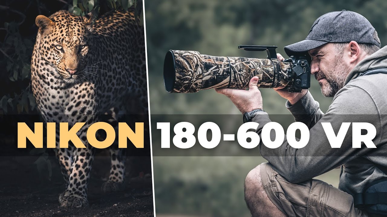 Nikon Z 180-600mm VR: Best Wildlife Lens Ever? (Wildlife Photography Review)