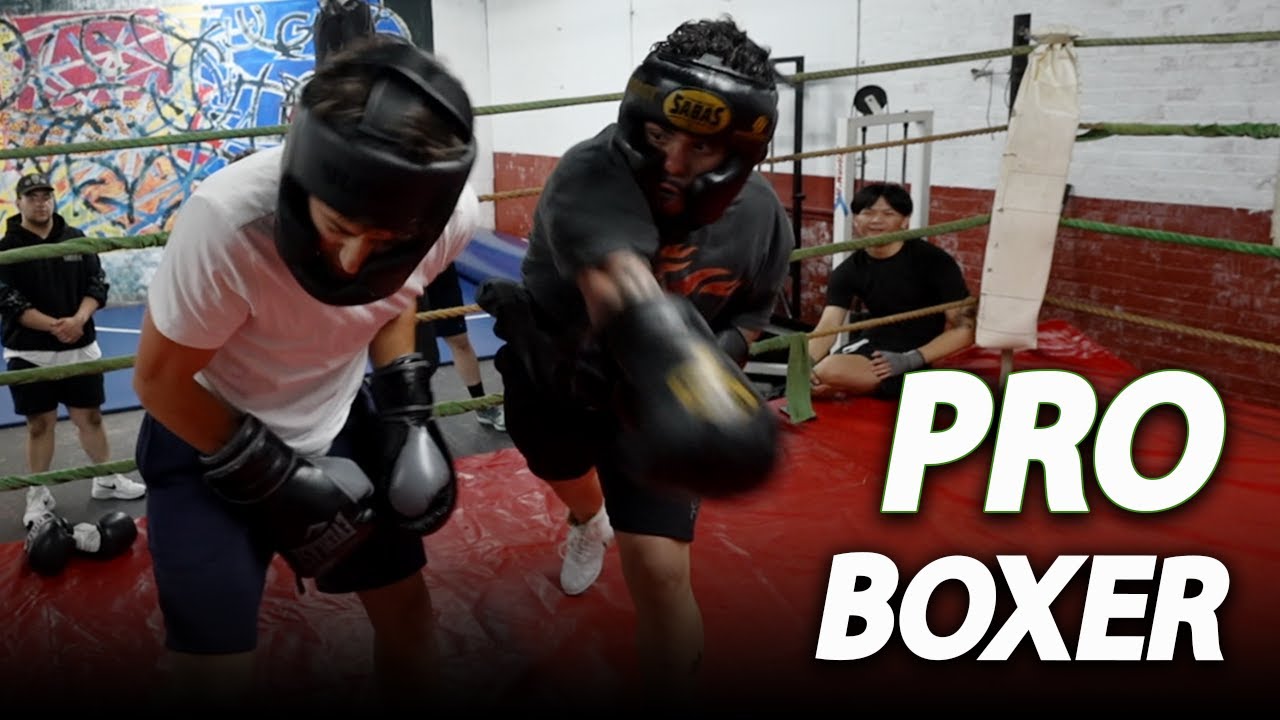 PRO BOXER schools FOUR SELF TAUGHT BOXERS in a ROW?!