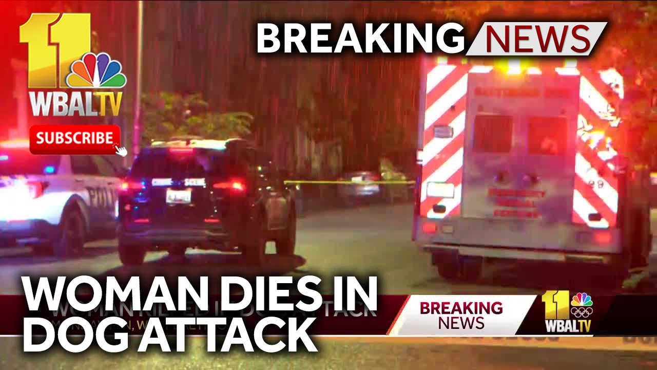 Woman dies in west Baltimore dog attack