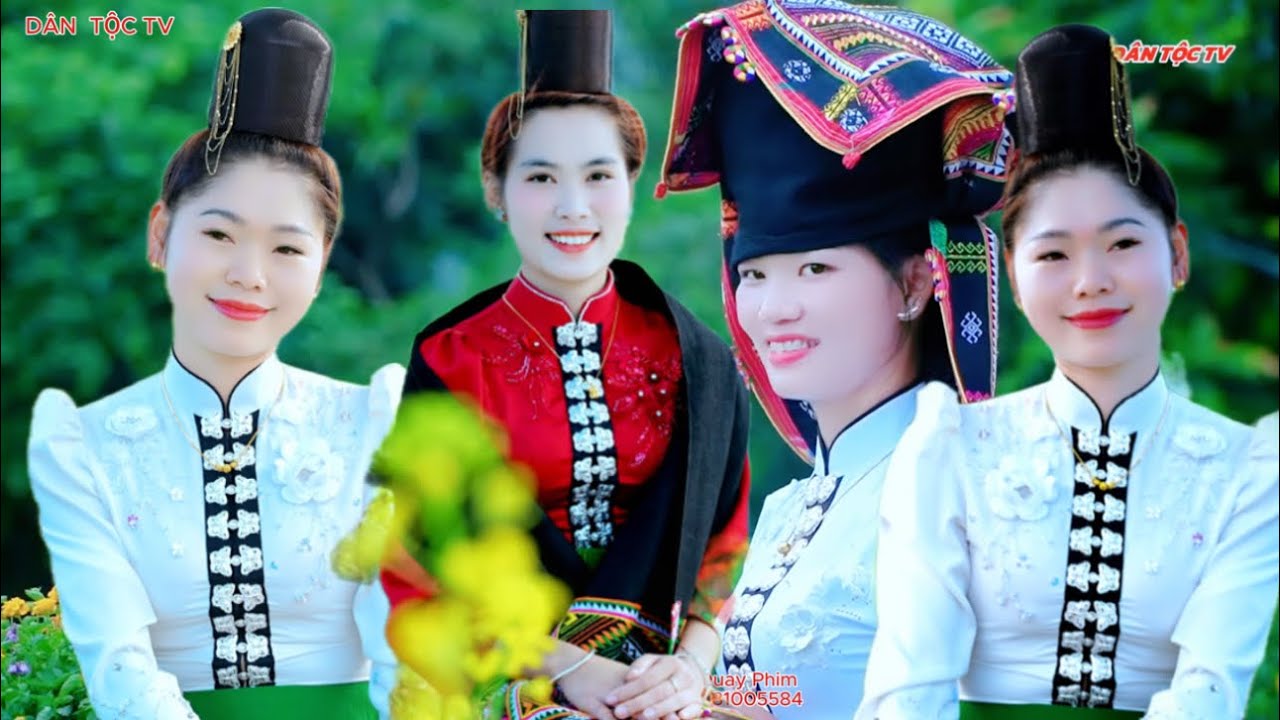 Hát thái tổng hợp các bài hát hay nhất mọi người cùng lắng nghe nhé 