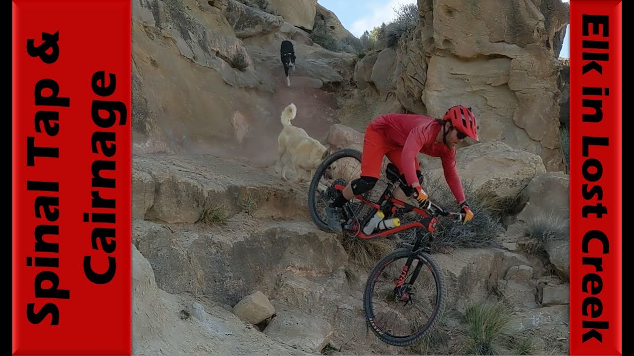Wild Fun on Spinal Tap & Cairnage + Elk in Lost Creek!