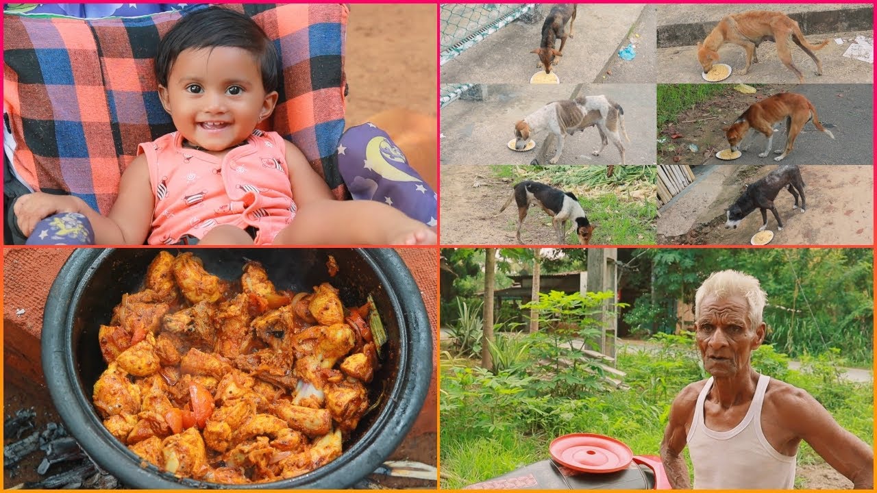 සුදු මැණික ගේ උපන් දිනෙට අපි කරපු වැඩ 😊 The things we did for Sudu Manika birthday - Love you all ❤