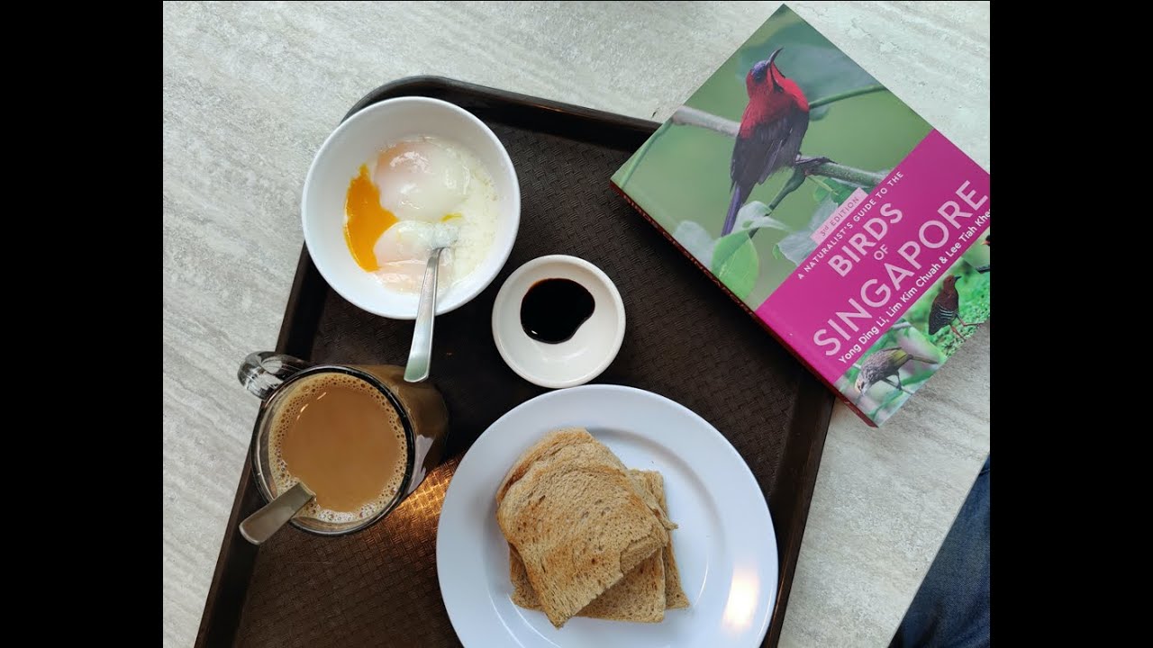 A year of birding in Singapore