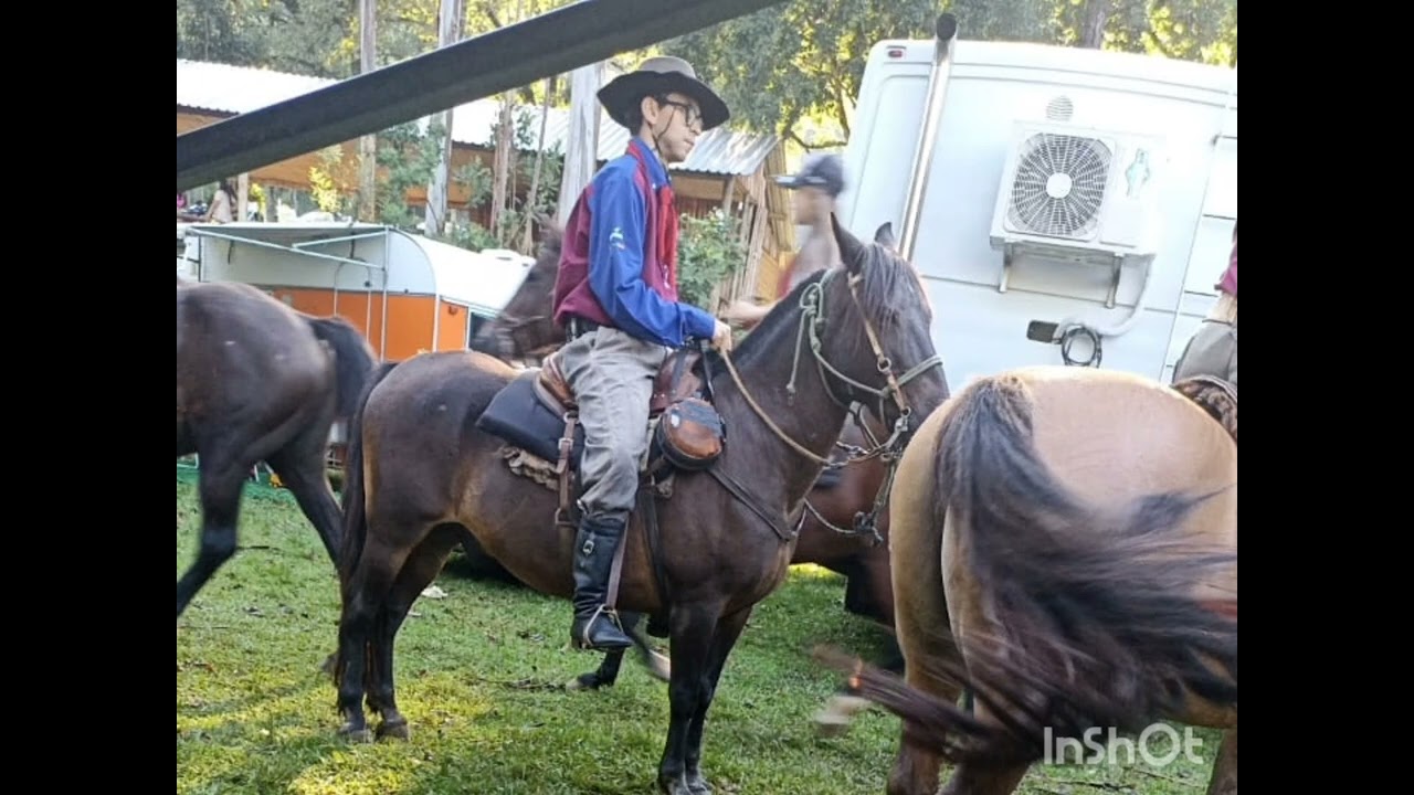 GAUCHO TAURA.