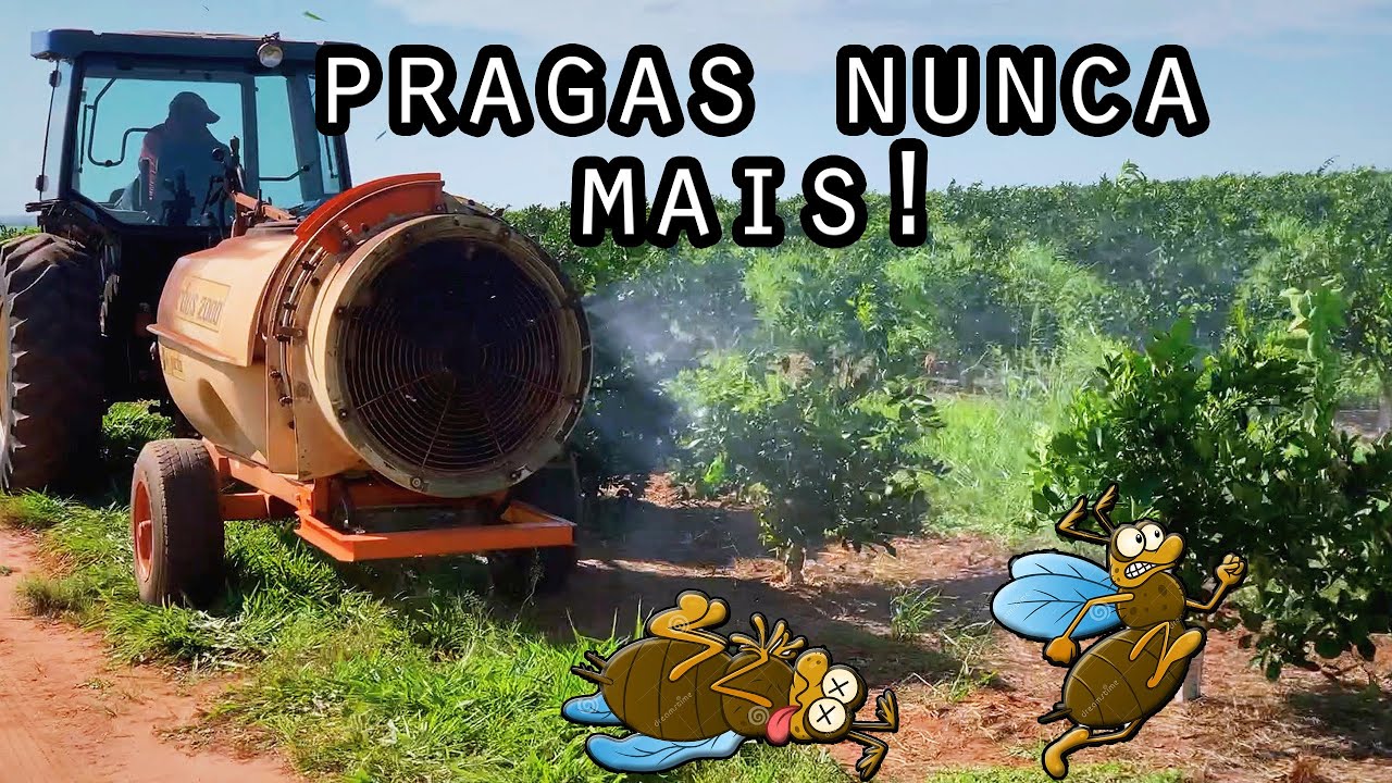 PULVERIZANDO LARANJA! - Vlog