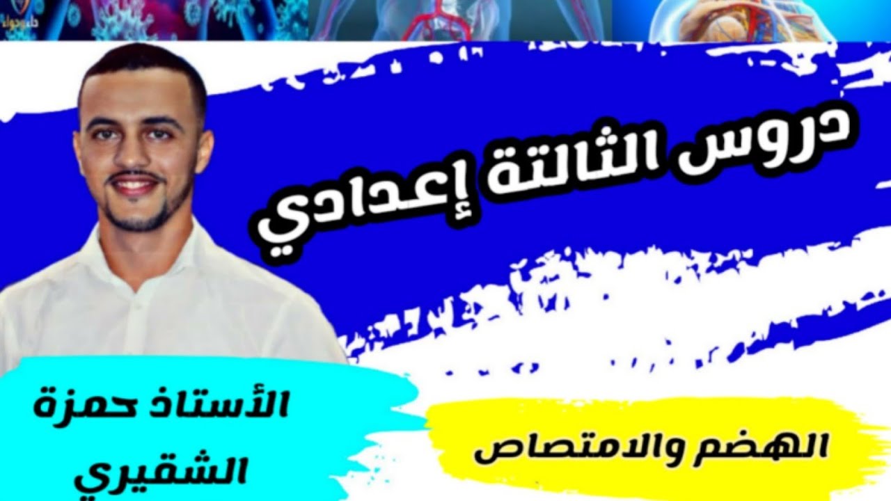 🔰الثالتة إعدادي : ملخص الهضم والامتصاص (1)