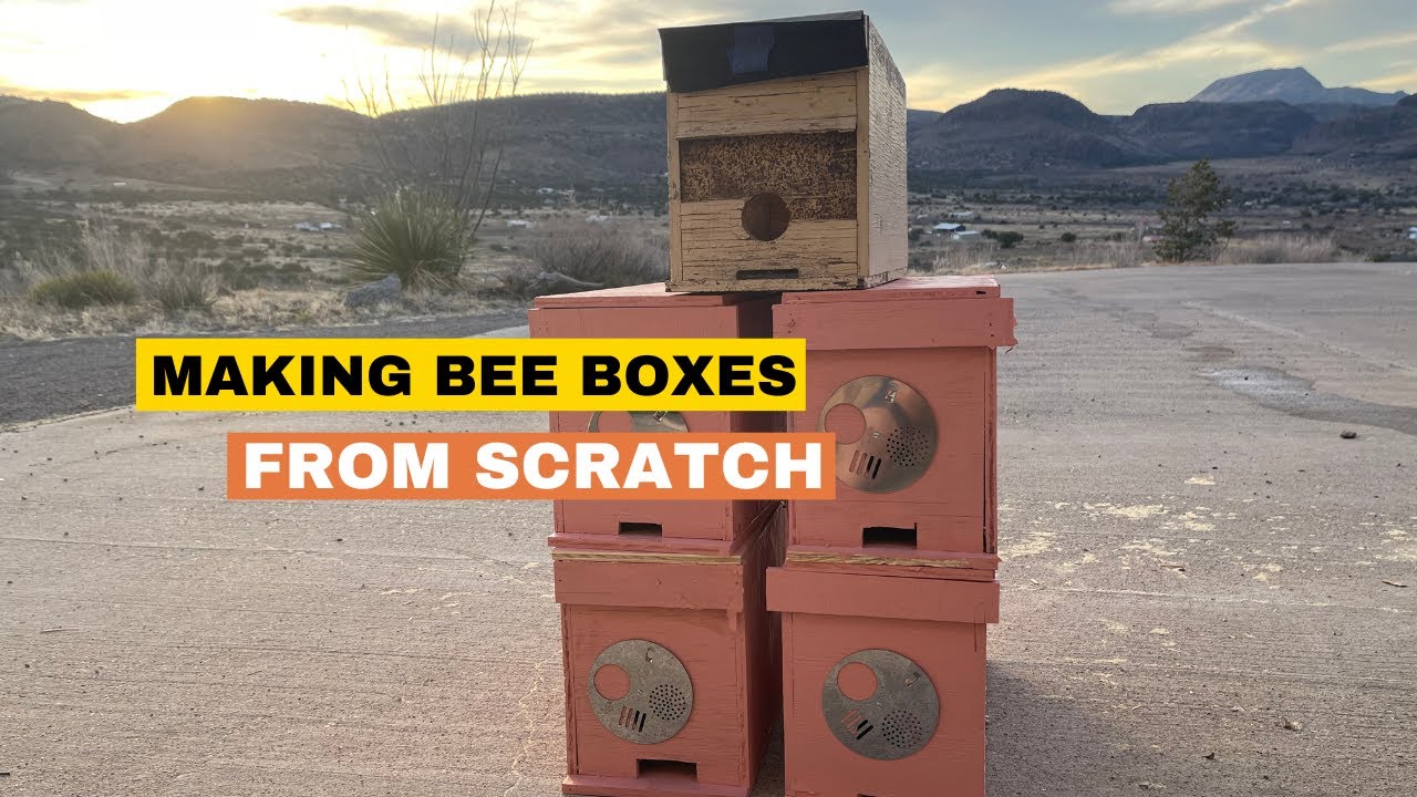 How to make a simple bee box? #beekeeping