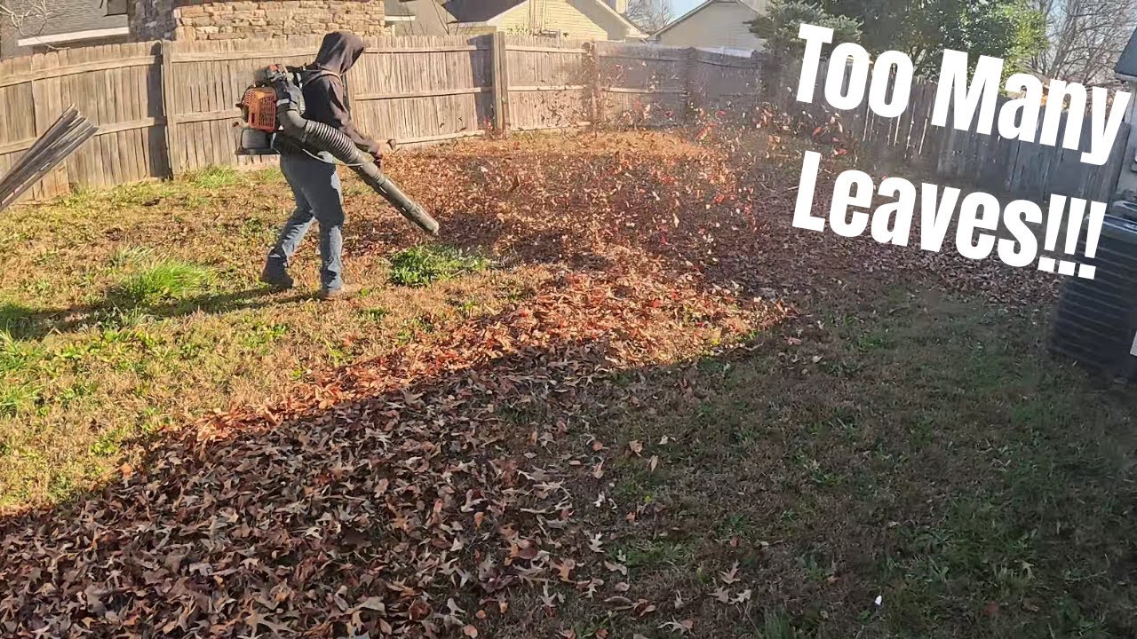 Mulching Leaves and Cutting Trees!