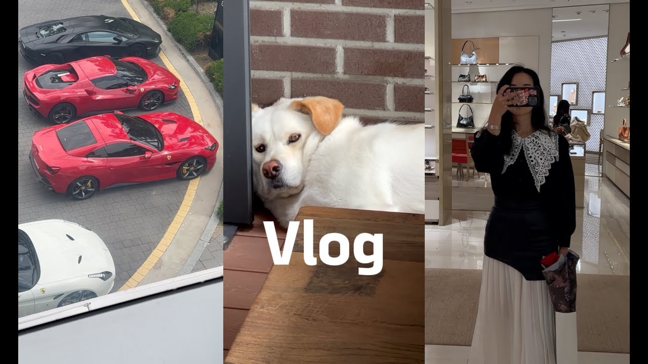 일상Vlog l 백화점 문 닫고 쇼핑?!🛍️ l 에르메스 언박싱 l 온러닝화 언박싱 l 치즈룸