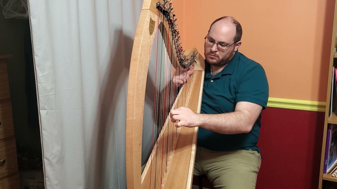 Moonlight (by Susann McDonald) - Harp
