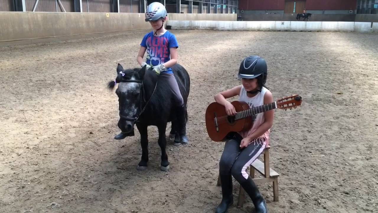 Ponykamp Got Talent op AHC