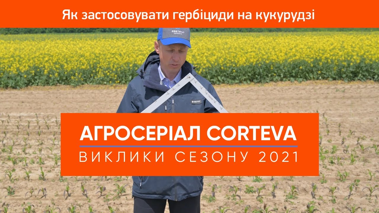Як застосовувати гербіциди на кукурудзі з максимальною ефективністю  Спецвипуск  Агросеріал Corteva