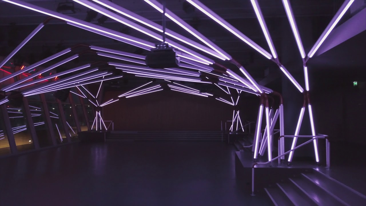 Rhyzomatic Grid at Terminal 7 Club in Paris, by Estudio Guto Requena