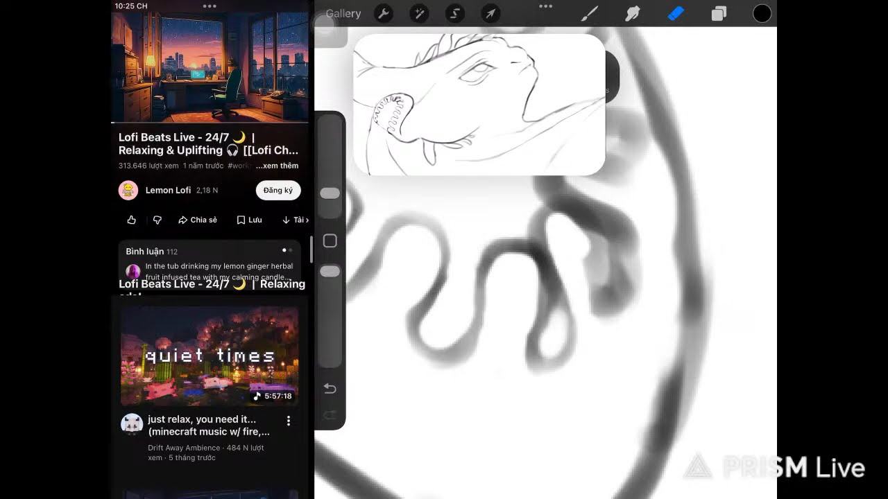 Drawing in stream...