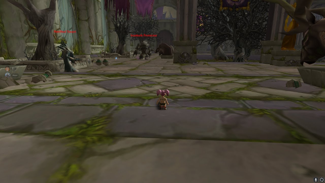 Wow Anniversary Classic Dire Maul West+North Boost NAKED (NO GEAR) ダイアモールのダンジョンを装備なしでプレイしています